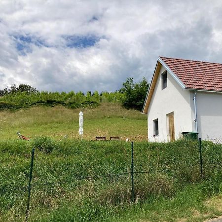 Herzhof Lampert Регенсбург Екстериор снимка