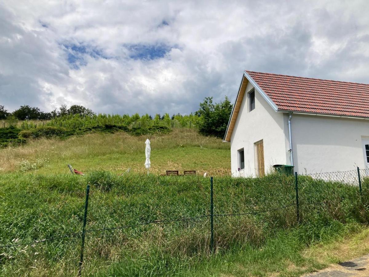 Herzhof Lampert Регенсбург Екстериор снимка