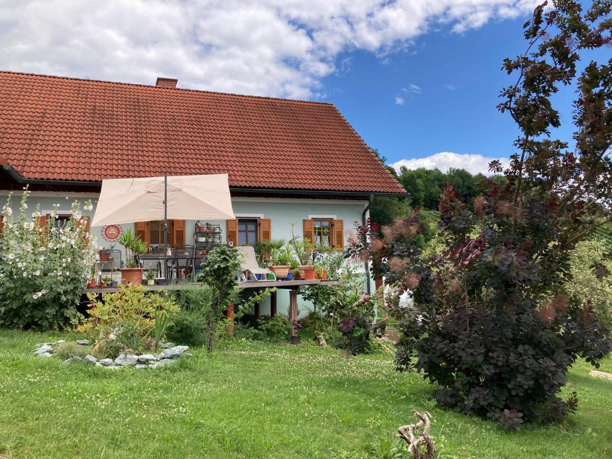 Herzhof Lampert Регенсбург Екстериор снимка